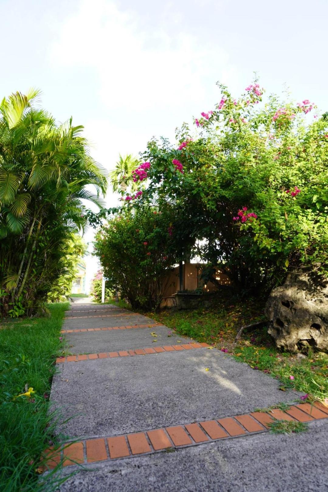 T2 Spacieux, Confort, Piscine & Plage A Sainte-Anne Exterior foto